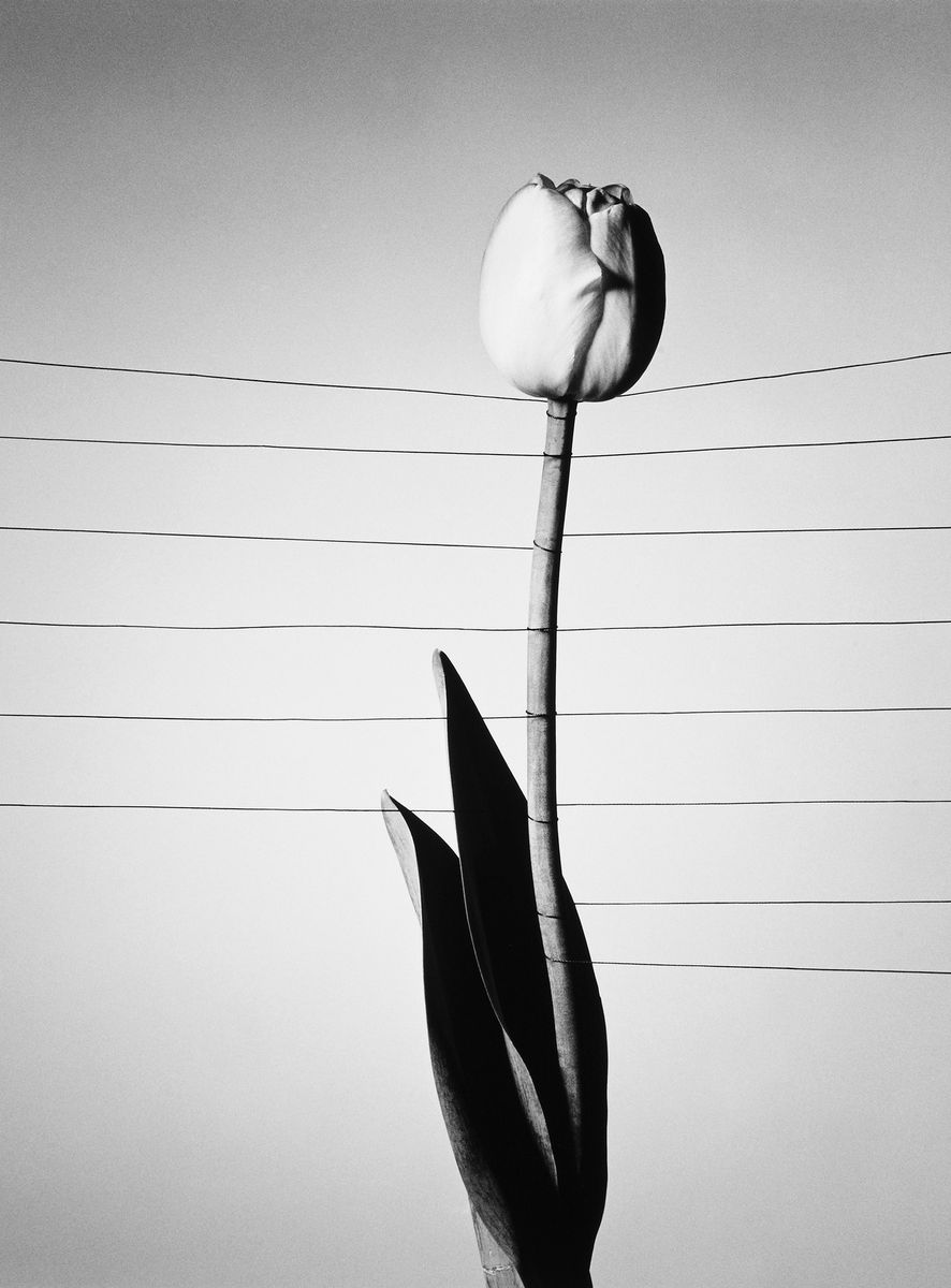 Mandarin Oriental Ritz, Madrid, Visto Images