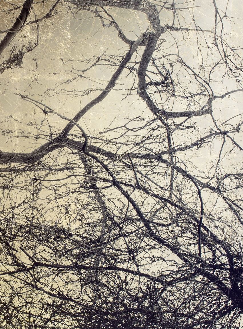 Mandarin Oriental Ritz, Madrid, Visto Images